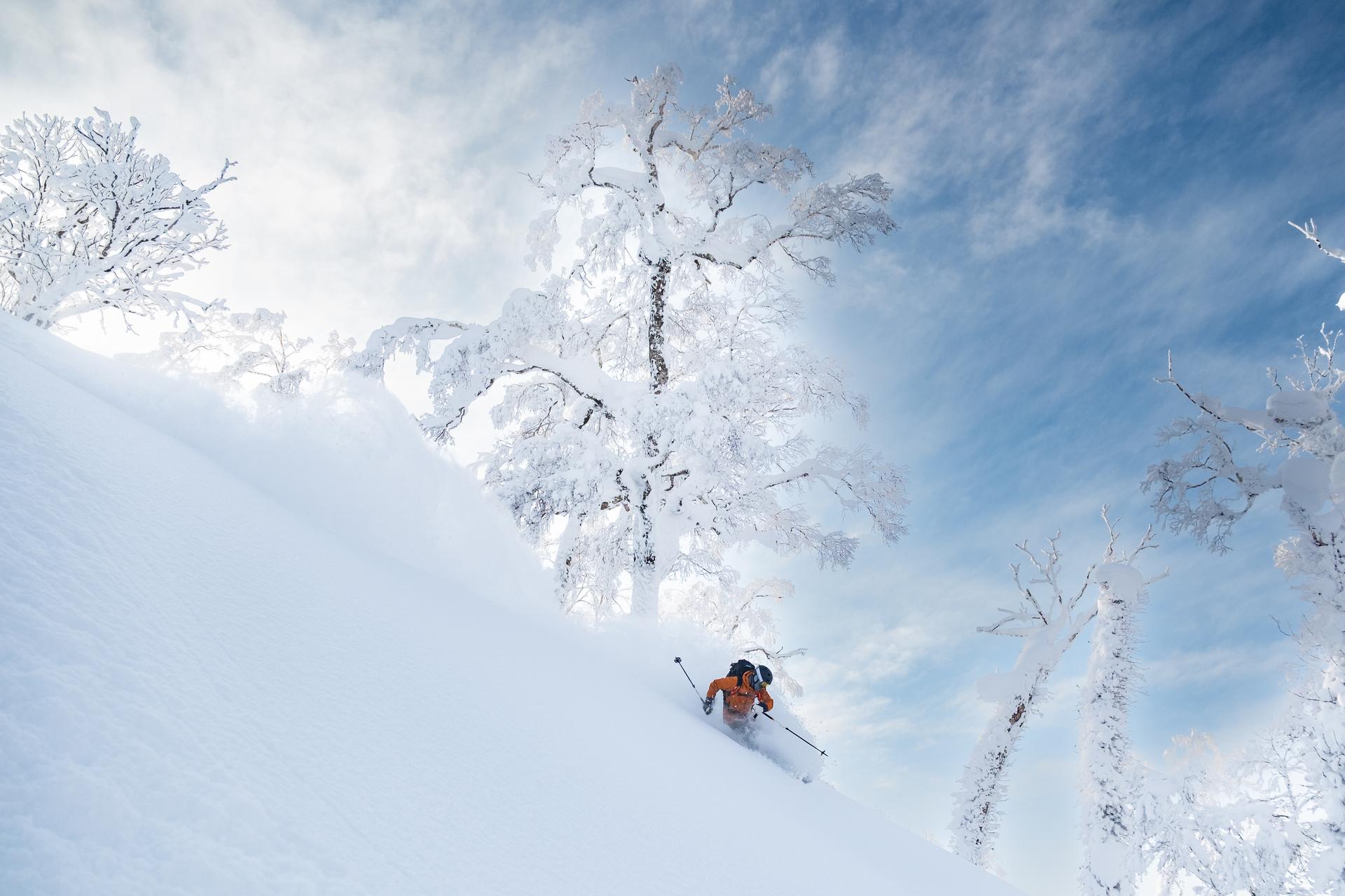 Denny Mensik_JaPow_Niseko